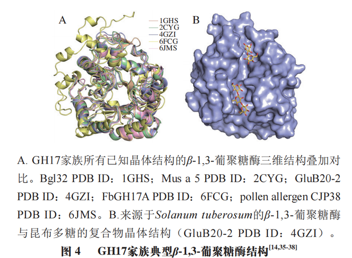 上海大学高海燕教授,秦臻副教授等:β-1,3-葡聚糖酶的结构,功能