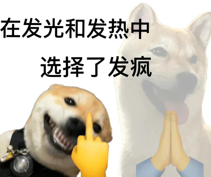 摆烂精神状态363436373039表情包