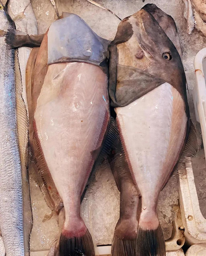 象皮鱼又叫扒皮鱼就是绿鳍马面鲀,象皮鱼能做道好菜"家常烧象皮鱼"