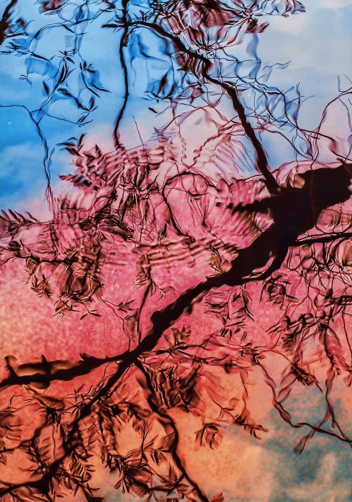 街头的浓烈色彩 摄影丨francesco gioia