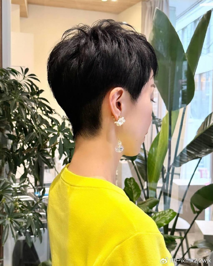 我推荐露耳短发,利落还时尚|短发|脸型|发型_新浪新闻