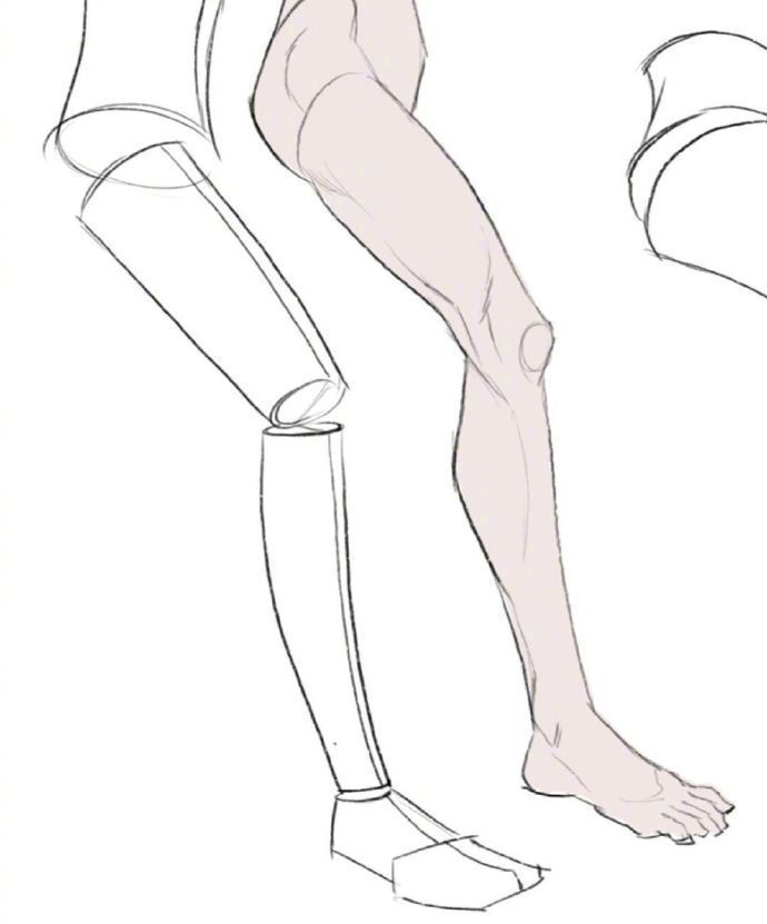 女性人体透视参考