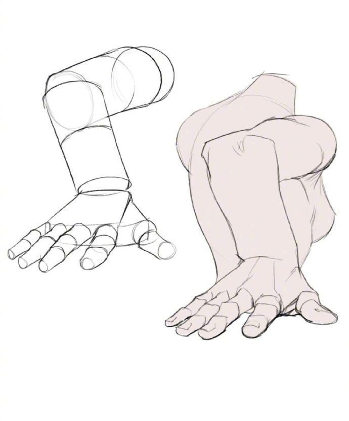 女性人体透视参考