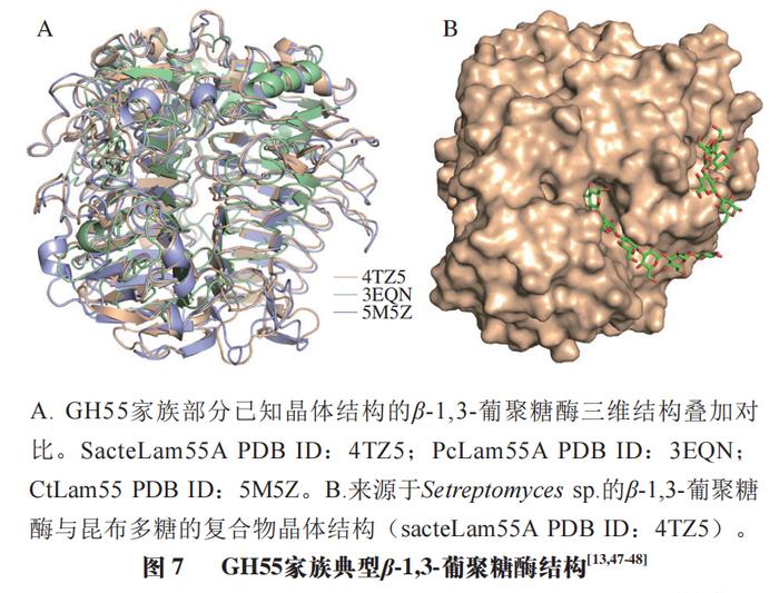 上海大学高海燕教授,秦臻副教授等:β