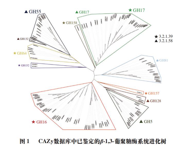 上海大學高海燕教授秦臻副教授等β13葡聚糖酶的結構功能