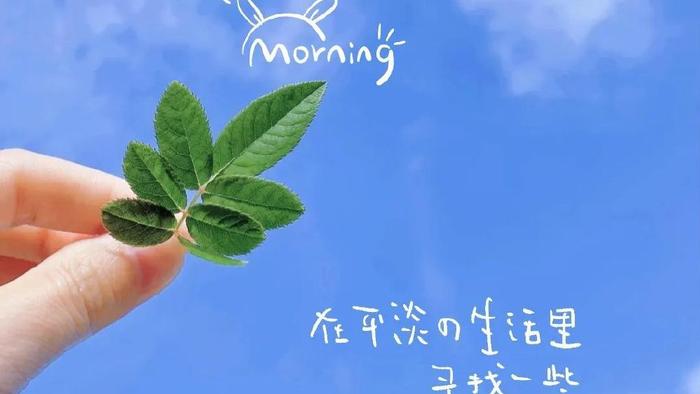 早上朋友圈这样发，温暖又治愈，没人舍得屏蔽你！