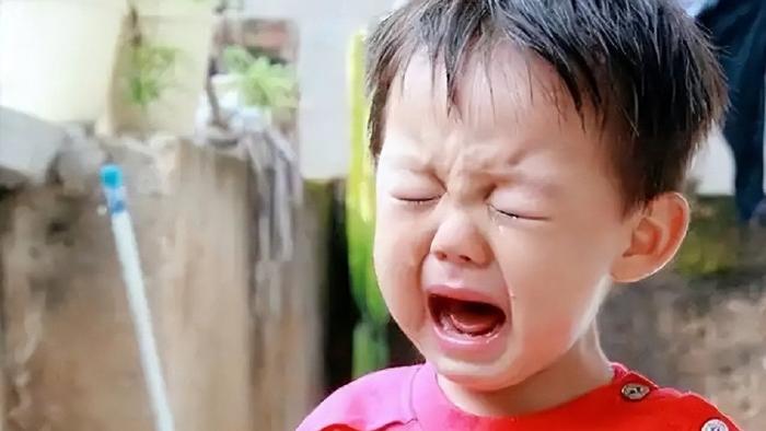 两三岁的宝宝“鬼见愁”？破解这4种行为，你就能理解自家娃了