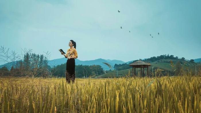 中年人的圈子越小，生活越好