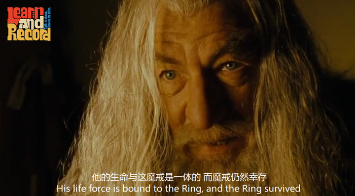 世界讨厌香菜日来了