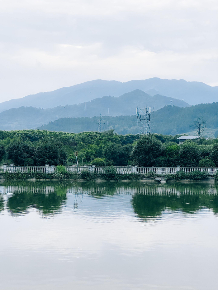 等我挥霍完自由,再向生活自首__财经头条__新浪财经
