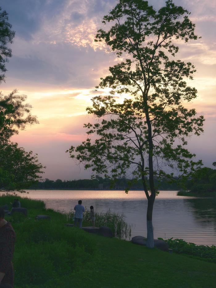 嘉兴桐乡的凤凰湖 一个小众露营地 停车景点都是免费的