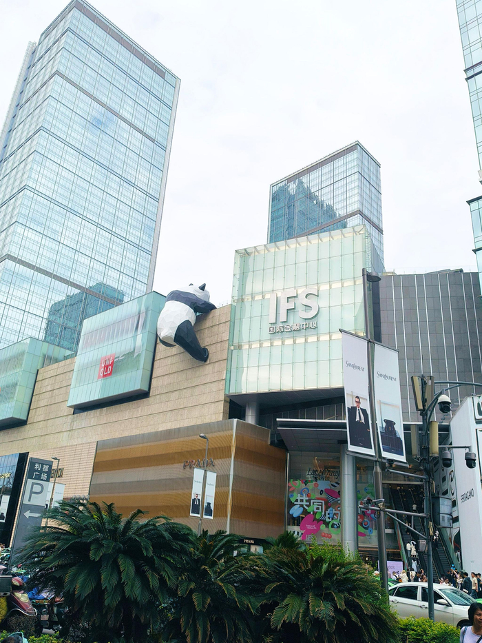游客打卡成都春熙路网红爬墙熊猫,赞夜景活力