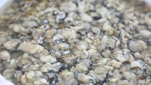 宁波奉化渔嫂现撬牡蛎制作海鲜米豆腐