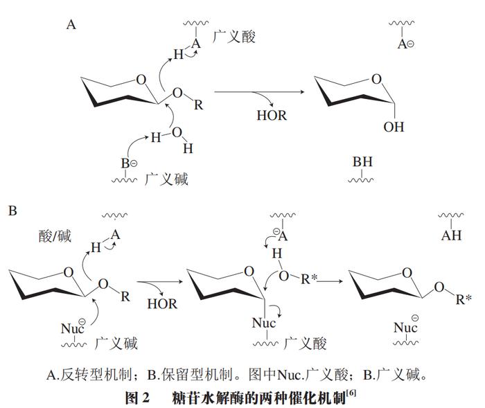 糖苷键图片