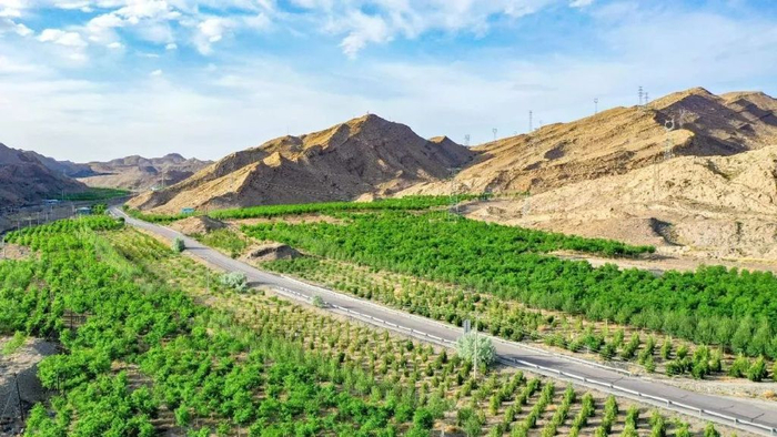 全国首批贺兰山东麓矿山生态修复项目入选国家优秀典型案例