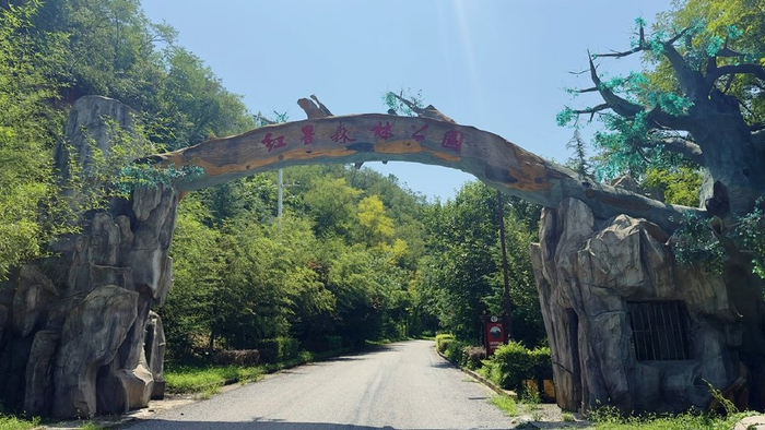 长武红星林场  绿色旅游好去处