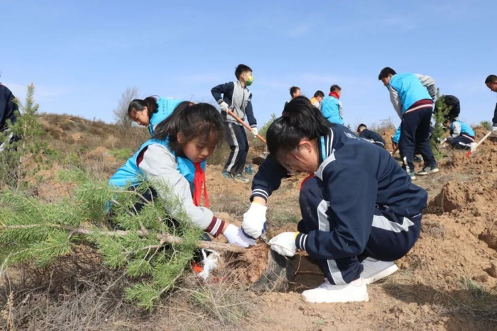 陕蒙两地青少年"共植同心林"植树护绿活动