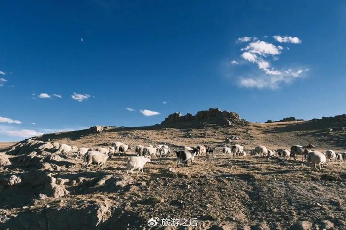新疆羌塘无人区,垃圾比人还多,很多人不相信