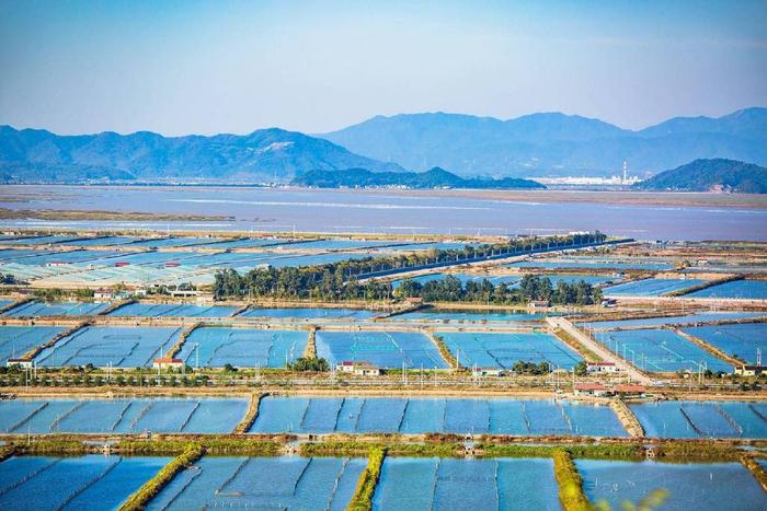 浙江三門蛇蟠島公園獅子嶺觀景臺是俯瞰蛇蟠島美景的好地方