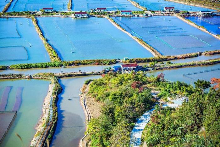 浙江三門蛇蟠島公園獅子嶺觀景臺是俯瞰蛇蟠島美景的好地方