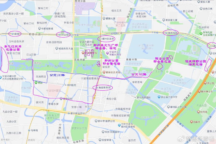 宁波南部商务区汇聚6处花海,郁金香和油菜花各有亮点,早樱更美|早樱