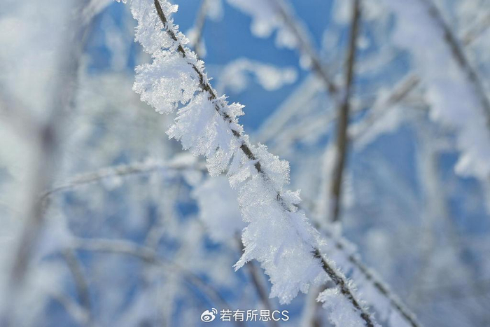 你相信吗?在"雾凇之都"吉林,一年四季都可以看到雾凇了.