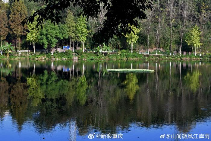 九龙坡彩云湖湿地公园冬日治愈系美景
