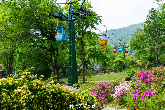 无锡锡惠公园映山红映衬了锡城最美的登山缆车