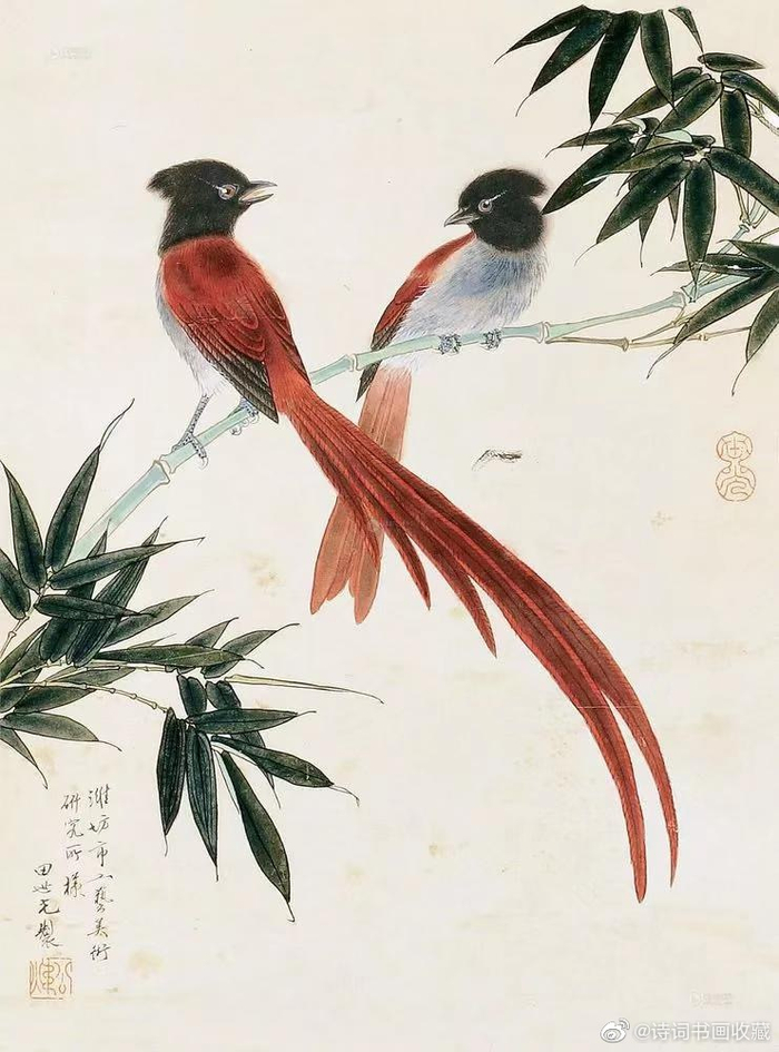 田世光笔下的花鸟，清新脱俗、赏心悦目|田世光|工笔|花鸟画
