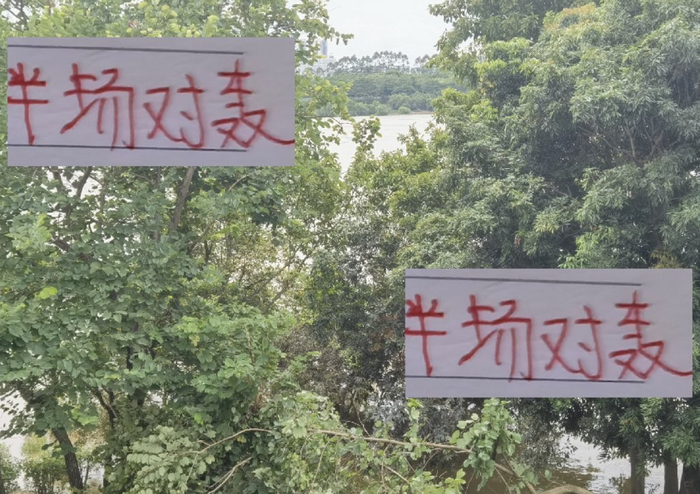 谁死守谁是孙子！海牛主场跟海港对轰 半场就进了5个球！