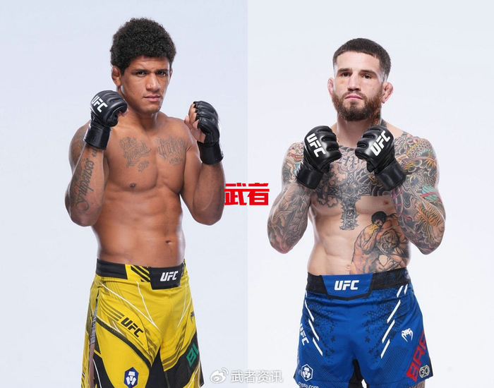 中国选手益扎UFC首秀9月8日对阵加布里埃尔·桑托斯|肖恩·布雷迪|杰西卡·安德拉德|吉尔伯特·伯恩斯|凯尔·尼尔森|娜塔莉亚·席尔瓦_新浪 ...
