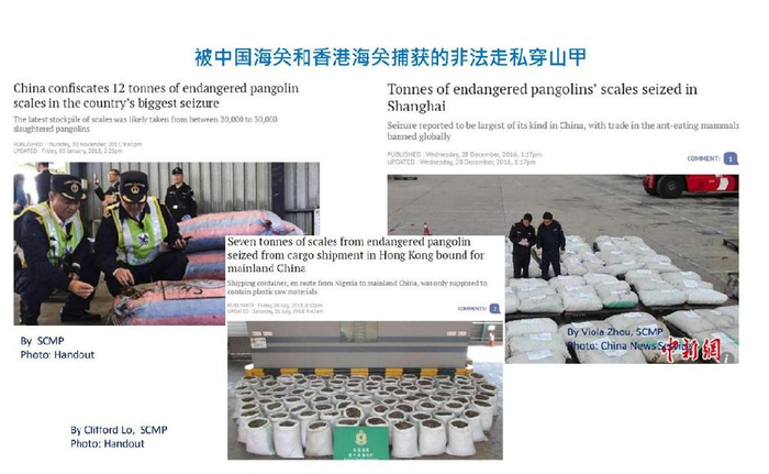 中药治病真的需要猎杀野生动物吗?有多少野生动物"被入药"