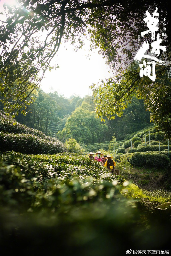 《草木人间》:草木人间,万物有灵。带你一起上春山,回归自然本真!|草木人间|苔花|春山_新浪新闻