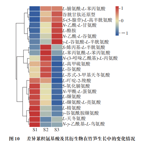 浙江农林大学应叶青教授等:基于uplc-ms/ms的毛竹笋不同生长阶段差异