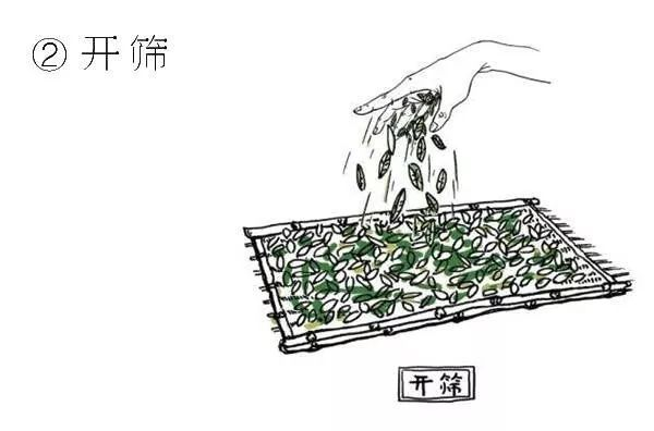 美食看点>正文> 72 白茶制作的新工艺 72在传统白茶的制作基础上