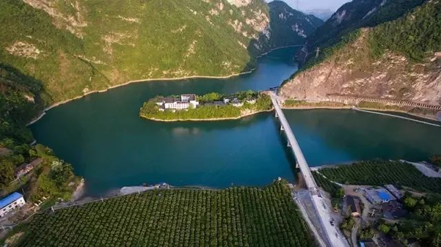 融入张家界,桑植亮出茶旅融合这张王牌