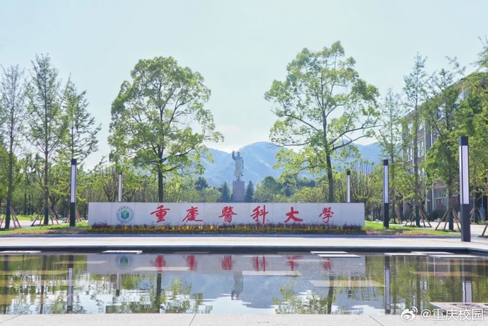 重庆医科大学 67夜色漠