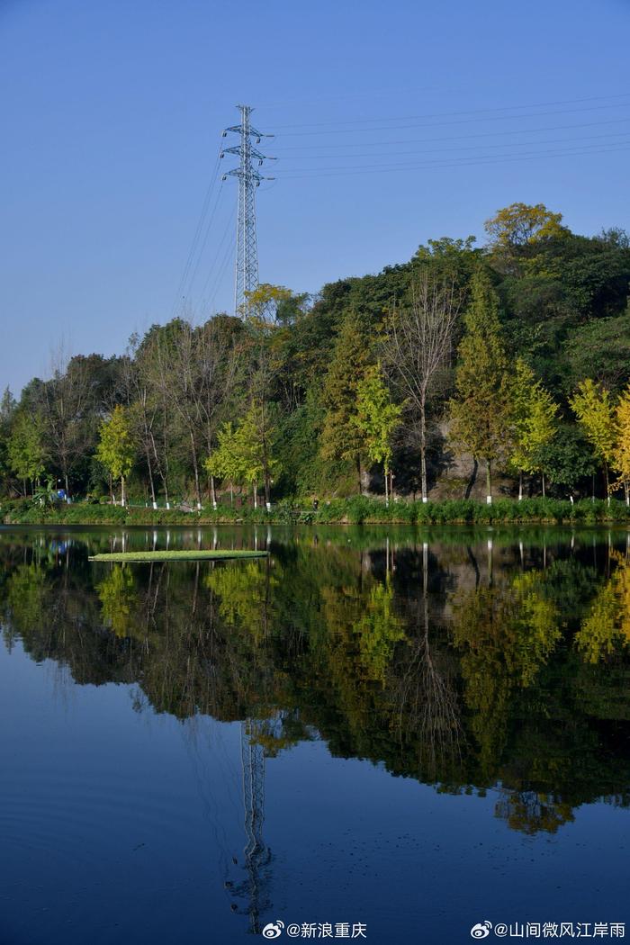 九龙坡彩云湖湿地公园冬日治愈系美景