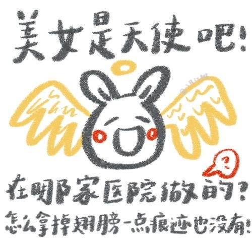夸人专用表情包