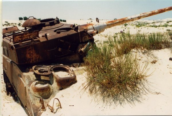 埃及陆军m4a4fl10型谢馒头