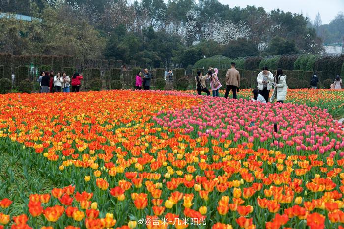 湖南省植物园景色图片