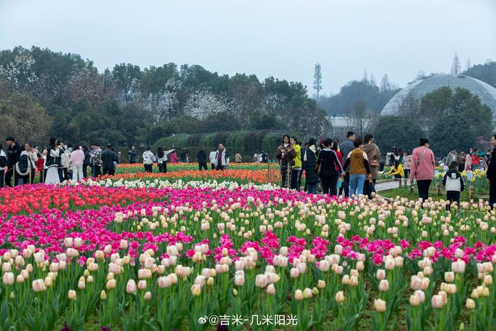 长沙生态植物园图片