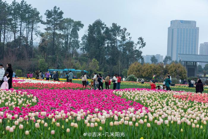 湖南省植物园景色图片