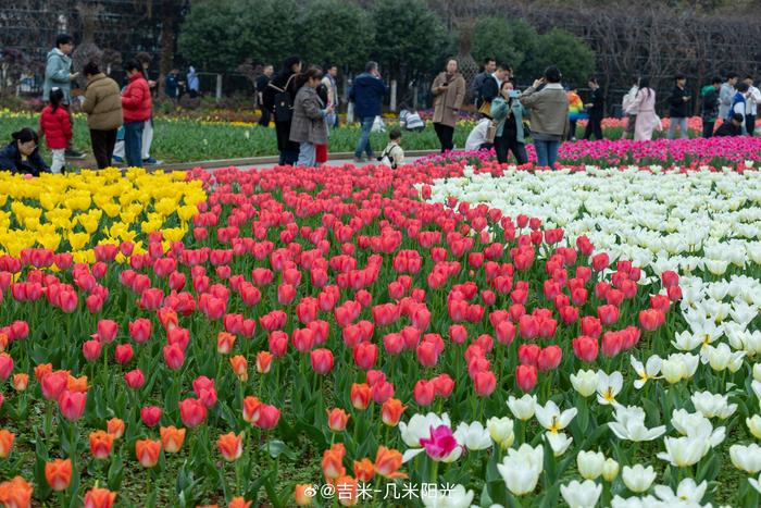 长沙生态植物园图片