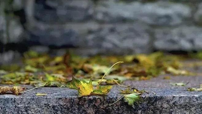 原创|一个人是否有福气，看三个地方就知道了，很准