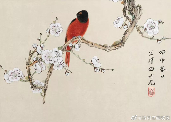 田世光笔下的花鸟，清新脱俗、赏心悦目|田世光|工笔|花鸟画