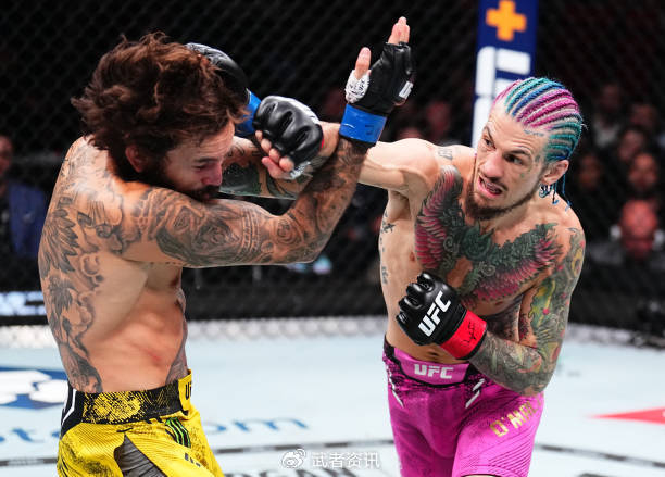 宋亚东点数告负,奥马利成功卫冕ufc雏量级金腰带|丹尼斯|奥马利|回合