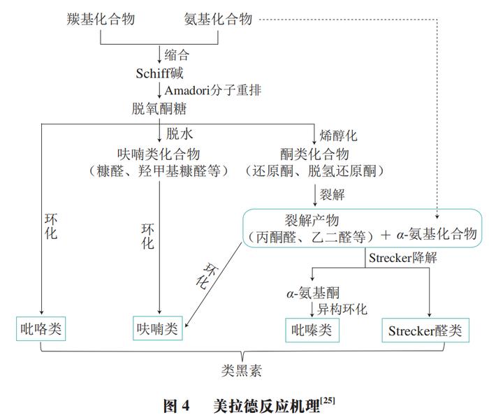 华中农业大学熊善柏教授等鱼汤风味的形成与调控研究进展