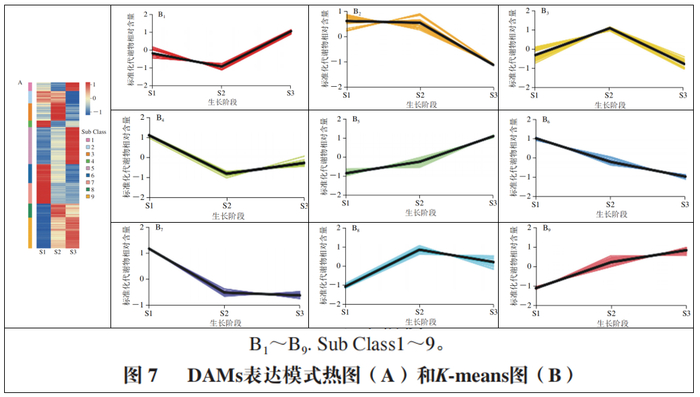 浙江农林大学应叶青教授等基于uplcmsms的毛竹笋不同生长阶段差异