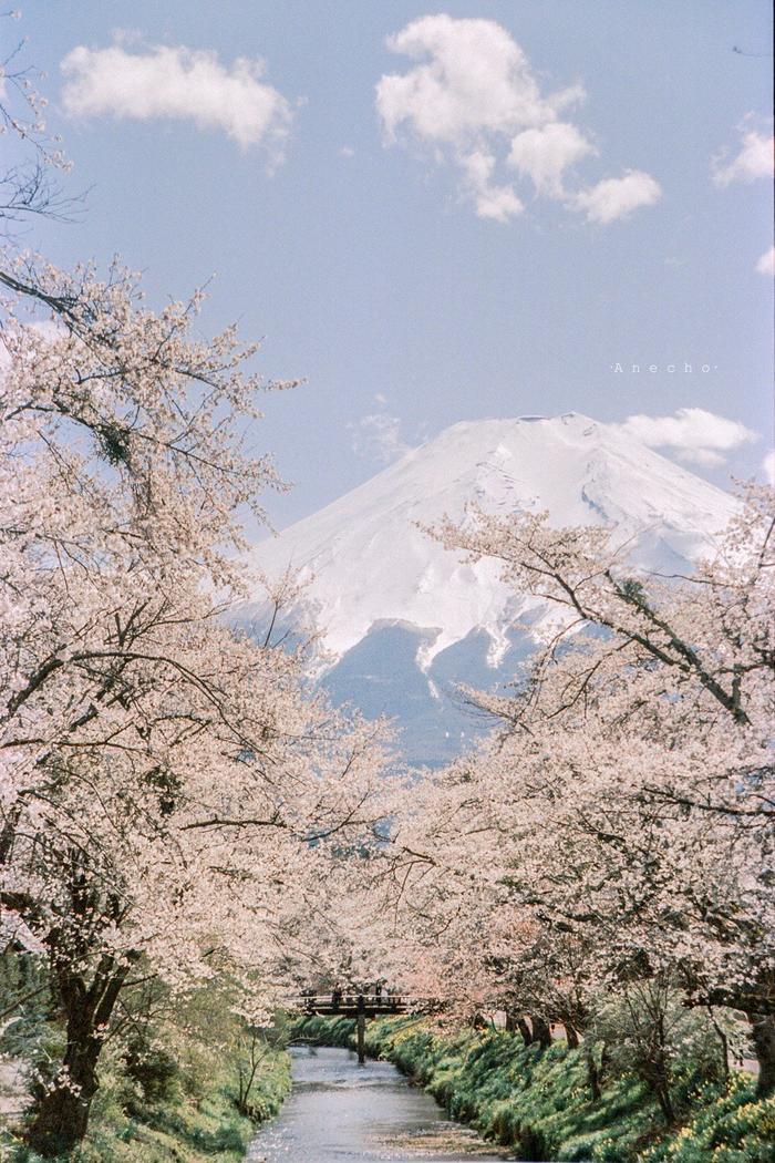 手机壁纸富士山高清图片